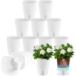 Kalanka - lot de 12 pots à arrosage automatique avec indicateur de niveau d'eau - 9, 5 cm - pot à herbes ... Kalanka - lot de 12 pots à arrosage automatique avec indicateur de niveau d'eau - 9, 5 cm - pot à herbes ...