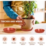 Kalanka - lot de 12 soucoupes pour pots de fleurs, 3 tailles mixtes en plastique, plateaux de plantes ...