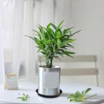 Kalanka - lot de 16 soucoupes rondes en plastique pour pots de fleurs - plateaux circulaires pour intrieur ...