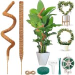 Kalanka - 2 pices tuteur plante, 160cm monstera tuteur, tuteur plante grimpante, plante tuteur coco ...