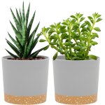 Kalanka - lot de 2 pots de plantes 12. 7cm, pots pour plantes d'intérieur avec trous de drainage et base ... Kalanka - lot de 2 pots de plantes 12. 7cm, pots pour plantes d'intérieur avec trous de drainage et base ...