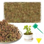 Kalanka - 200g sphaigne pour plante naturelle compress sphaigne pour orchides mlange pour pot - pour ...