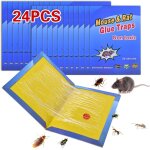 Kalanka - 24 pièces piège à souris piege a souris rat attrape souris colle glue souris anti plaque collante ... Kalanka - 24 pièces piège à souris piege a souris rat attrape souris colle glue souris anti plaque collante ...