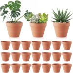 Kalanka - lot de 24 pots de fleurs, 3, 5 x 3 cm pot terre cuite avec trou de drainage, mini pots en terre ... Kalanka - lot de 24 pots de fleurs, 3, 5 x 3 cm pot terre cuite avec trou de drainage, mini pots en terre ...