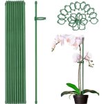 Kalanka - lot de 25 piquets pour plantes, 30 cm, avec 25 mousquetons, pour tomates, fraises, orchidées, ... Kalanka - lot de 25 piquets pour plantes, 30 cm, avec 25 mousquetons, pour tomates, fraises, orchidées, ...