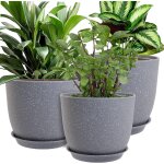 Kalanka - lot de 3 pots de fleurs dcoratifs modernes en plastique avec trous de drainage et soucoupes ...