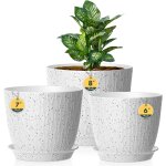 Kalanka - lot de 3 pots de fleurs avec système d'irrigation, 20, 3 / 17, 8 / 15, 2 cm, avec système d'irrigati ... Kalanka - lot de 3 pots de fleurs avec système d'irrigation, 20, 3 / 17, 8 / 15, 2 cm, avec système d'irrigati ...