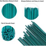 Kalanka - lot de 30 bâtons de support pour plantes, piquets verts de 30 cm, bâtons en bambou vert de ... Kalanka - lot de 30 bâtons de support pour plantes, piquets verts de 30 cm, bâtons en bambou vert de ...