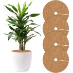 Kalanka - lot de 4 tapis en coco - disque de paillage en coco - pour plantes en pot et protection hivernale ... Kalanka - lot de 4 tapis en coco - disque de paillage en coco - pour plantes en pot et protection hivernale ...
