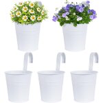 Kalanka - lot de 5 pots de fleurs  suspendre 10cm en mtal blanc avec crochet amovible panier  planter ...