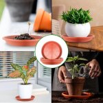 Kalanka - lot de 5 soucoupes en plastique pour pots de fleurs d'intrieur et d'extrieur - rouge brique ...