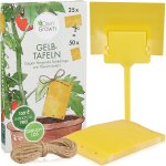 Kalanka - lot de 50 (2x25) piges adhsifs sans insecticide pour lutter contre les nuisibles ¿ avec ...