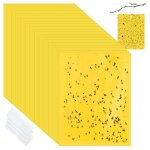 Kalanka - 50 pices pieges collants double face, 15 x 20cm autocollants jaunes pige  mouches, jaune ...