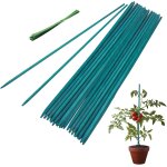 Kalanka - lot de 50 piquets de jardin en bambou de 30 cm avec 120 attaches torsadées, piquets pour plantes ... Kalanka - lot de 50 piquets de jardin en bambou de 30 cm avec 120 attaches torsadées, piquets pour plantes ...