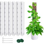 Kalanka - 6 pices 60cm tuteur sphaigne, tuteur monstera, moss pole pour la maison monstera jardin plante ...