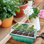 Kalanka - 6 pièces mini serre pour semis avec couvercles, plateau semis avec 12 cellules, pot de germination ... Kalanka - 6 pièces mini serre pour semis avec couvercles, plateau semis avec 12 cellules, pot de germination ...