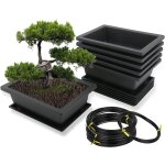 Kalanka - lot de 6 pots rectangulaires pour bonsa avec soucoupe, 16x12x6cm, pots de fleurs en plastique ...