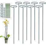 Kalanka - lot de 8 tuteurs plantes support pour plantes, 40 cm piquet de plantes de jardin en métal à ... Kalanka - lot de 8 tuteurs plantes support pour plantes, 40 cm piquet de plantes de jardin en métal à ...