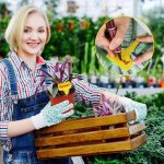 Kalanka - bac à semis mini serre pour semis avec dôme d'humidité réglable propagateur jardin pour démarrage ... Kalanka - bac à semis mini serre pour semis avec dôme d'humidité réglable propagateur jardin pour démarrage ...