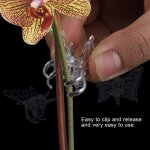 Kalanka - clip d'orchidée, 100 pièces outils de jardin clips de tige poussent des orchidées verticales ... Kalanka - clip d'orchidée, 100 pièces outils de jardin clips de tige poussent des orchidées verticales ...