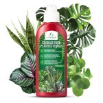 Kalanka - engrais plantes vertes int�rieur (700ml) - engrais liquide universel - nourrit et renforce ...