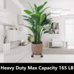Kalanka - grand support de plantes en métal robuste avec roulettes pour pot de fleurs - pour intérieur ... Kalanka - grand support de plantes en métal robuste avec roulettes pour pot de fleurs - pour intérieur ...