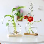 Kalanka - jardinire en verre  suspendre de table pcs de 2 station de propagation vase  bouton de fleur ...