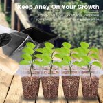 Kalanka - kit de démarrage pour plantes, lot de 3 bac à semis, mini serre pour plantes, bac à semis, ... Kalanka - kit de démarrage pour plantes, lot de 3 bac à semis, mini serre pour plantes, bac à semis, ...