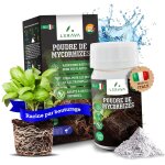 Kalanka - ® mycorhize en poudre 50g ¿ champignons mycorhiziens naturels ¿ enracinement boutures, orchidées ... Kalanka - ® mycorhize en poudre 50g ¿ champignons mycorhiziens naturels ¿ enracinement boutures, orchidées ...