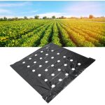 Kalanka - paillis perfor, plantes noires film pe perfor pour jardin film de paillage noir pare - vapeur ...