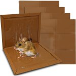 Kalanka - ® pieges a colle souris rat glue, deratisation attrape souris professionnel, alternative raticide ... Kalanka - ® pieges a colle souris rat glue, deratisation attrape souris professionnel, alternative raticide ...