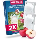 Kalanka - piège à phéromones pour carpocapse pommier 2 pièces - pièges à phéromone contre le ver des ... Kalanka - piège à phéromones pour carpocapse pommier 2 pièces - pièges à phéromone contre le ver des ...
