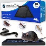 Kalanka - piege a souris collante 10 piges ultra - adhsifs professionnels efficaces contre les rats ...