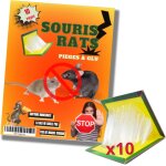 Kalanka - piège a souris colle plaque collant lot de 10 pièces attrape anti souris rat plaques de glue ... Kalanka - piège a souris colle plaque collant lot de 10 pièces attrape anti souris rat plaques de glue ...