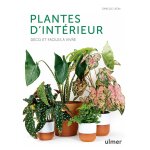 Kalanka - plantes d'intrieur - dco et faciles a vivre