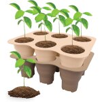 Kalanka - plateaux de démarrage de semis, mini serre pour plantes, lot de 2 bac à semis en silicone réutilisab ... Kalanka - plateaux de démarrage de semis, mini serre pour plantes, lot de 2 bac à semis en silicone réutilisab ...