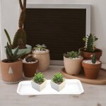 Kalanka - plateau pour jardinire rectangulaire de 10 pices, soucoupe en plastique rutilisable pour ...