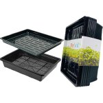 Kalanka - plateau de semences 10 pices plateau semis potager 37x30x7cm bac  semis de plantes de jardin ...