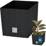 Kalanka - ® pot de fleur carré de 6, 8l avec insert pot en plastique anthracite pot intérieur pot de ... Kalanka - ® pot de fleur carré de 6, 8l avec insert pot en plastique anthracite pot intérieur pot de ...