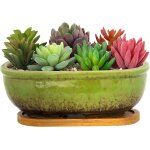 Kalanka - pot de fleurs succulentes rectangulaire en céramique avec plateau de drainage - 20 cm - pour ... Kalanka - pot de fleurs succulentes rectangulaire en céramique avec plateau de drainage - 20 cm - pour ...