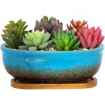Kalanka - pot de fleurs succulentes rectangulaire en céramique avec plateau de drainage - 20 cm - pour ... Kalanka - pot de fleurs succulentes rectangulaire en céramique avec plateau de drainage - 20 cm - pour ...