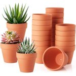 Kalanka - pot plante intérieur 20 pièces pot fleur peinture graffiti pots en terre cuite rond pour la ... Kalanka - pot plante intérieur 20 pièces pot fleur peinture graffiti pots en terre cuite rond pour la ...