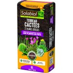 Kalanka - solabiol tercac6 terreau cactes et plantes grasses 6l croissance vigoureuse utilisable en ...