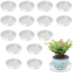 Kalanka - soucoupe pot fleur 15 pièces soucoupe plante plastique ronde soucoupe plastique coupelle pot ... Kalanka - soucoupe pot fleur 15 pièces soucoupe plante plastique ronde soucoupe plastique coupelle pot ...