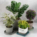 Kalanka - soucoupe de pot de fleurs 5 pouces, lot de 2 plateaux en cramique ronds pour plantes d'intrieur ...