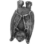 Kalanka - statue de chauve - souris en résine pour pot de fleurs, ornements de jardin d'extérieur, adaptés ... Kalanka - statue de chauve - souris en résine pour pot de fleurs, ornements de jardin d'extérieur, adaptés ...