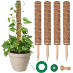 Kalanka - tuteur monstera pour plantes, 40cm x 4 kit de poteaux rétractables de mousse de plante, tuteur ... Kalanka - tuteur monstera pour plantes, 40cm x 4 kit de poteaux rétractables de mousse de plante, tuteur ...