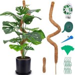 Kalanka - tuteur monsteraplante grimpante 125cm pliable avec attaches torsades - support durable pour ...
