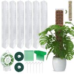 Kalanka - tuteur sphaigne, lot de 6 tuteurs en mousse, tuteurs pour plantes d'intrieur, tuteur monstera, ...