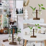 Kalanka - vase en verre pour plantes de bureau petit terrarium avec support en bois station de propagation ...